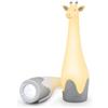 ZAZU - Torch - Gina Grey