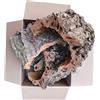 Generico Sughero Naturale di Sardegna | Corteccia per Presepi, Terrari, Acquari e Fai-da-te (2Kg)
