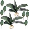 HinyoCo Foglia Orchidea Artificiale 26 cm Radici Dall'Aspetto Reale Piante Un Contatto Nel Lattice Verde Faux Leaf Arrangement (9)