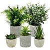 MFUSUL 5 Pezzi Piante Artificiali, Mini Piante Finte Serpentine, Agave Succulente, Aloe Artiglio, Set di Vasi Artificiali per Camera da Letto Ufficio Decorazione