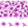 M METERXITY 50-Pack Fiori Di Orchidea Artificiali, Teste Di Fiori In Seta Finta Per DIY/Costumi/Matrimonio/Decorazione Per Feste [Viola+Bianco, 2.2/5.5cm]