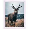 Rahmendesign24 Cornice portafoto Milano 30 x 70 cm, colore bianco lucido