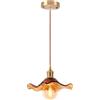 iDEGU Lampada a Sospensione Vintage in Vetro, 22cm Retro Lampadario Paralume in Vetro Plafoniera E27 Moderna Illuminazione da Soffitto Decor Lampada per Camera da Letto Cucina Caffetteria (Ambra)