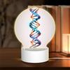 KLAMN Luce notturna rotonda in acrilico da comodino, catena DNA stampata con foto, lampada notturna a LED con spina USB, 3 colori dimmerabili, WZ201