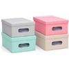 DANYX Set 4 Scatole Portaoggetti con Coperchio e Finestra - Contenitori Pieghevoli in Pvc Decorato, Salvaspazio per Armadio, Vestiti, Cameretta, Ripostiglio (Multicolor2)