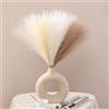 Serwalin 6 Pezzi Erba Della Pampas,45 cm,Piume Decorative,Fiori Secchi,Adatto per matrimoni, feste, salotti, decorazioni di vasi che,Decorazione Bohemien (Avorio, Beige E Sabbia)