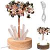 Syglawnd Albero di Chakra, Lampada di ricchezza Albero di naturale Luce notturna Feng Shui Bonsai Spina USB Luce notturna per soldi per soggiorno Colorato