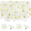 M METERXITY 50-Pezzi Fiori Di Orchidea Artificiale, Teste Di Fiori Di Seta Finta Per DIY/Decorazioni Per Abiti/Matrimoni/Feste [Bianco Crema, 2.2/5.5cm]