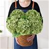 JINWOE Fiori verdi di ortensie artificiali, 5 pezzi, 50 cm, grandi fiori realistici in finta seta, ortensie artificiali complete per bouquet da tavolo, centrotavola, per interni, primavera, esterni