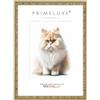 PrimeLuxe Cornice per foto in legno massiccio - Realizzata su misura 61 x 91,5 cm in Oro Antico | Dimensioni personalizzabili | con vetro acrilico antiriflesso | Cornice per poster | Puzzle | Foto