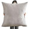 SWJ-swjssb Copri Federe Cuscini Divano 80x80 Copricuscino 60x60 Quadrato Con Cerniera,Federe Cuscino Moderne Per Camera Da Letto Divano Decorativo Velluto Elegante Lavabile ( Color : Light Gray , Size : 70x70cm