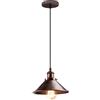 iDEGU Lampada a Sospensione Industriale 22CM Lampada da Soffitto Vintage Stile Edison E27 Lampadario a Sospensione Retrò per Soggiorno Sala da Pranzo Cucina Bar Ristorante (1 Pezzo, Ruggine)