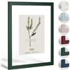 Haak Cornice doppia con vetro Miko Verde pino scuro 21 x 29,7 cm (DIN A4) Doppio vetro - Doppia vetratura Cornice per fotogrammi Colori pastello Pastello
