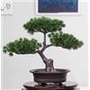 Verve Jelly Albero Bonsai Artificiale, Decorazione Piante Finte, Piante Artificiali da Appartamento in Vaso per Decorazioni per Interni, Pianta di Pino Finto per Decorazione, Display da Desktop