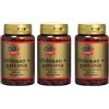 Obire Garcinia Cambogia + Chitosano 300 Capsule (3 barattoli da 100 capsule) - brucia grassi naturale, ideale per diete ipocaloriche, termogenico