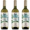 Generico Tarà Pecorino Falerio DOC - Tenuta Cocci Grifoni - 3 Bottiglie da 0.75 lt -