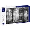 Lais Puzzle Raggi di Luce nella Foresta in Bianco e Nero 2000 Pezzi