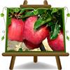EURO PLANTS VIVAI EURO PLANTS Melo Red Chief Pianta da Frutto Antico Età 4 Anni