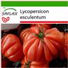 SAFLAX - Pomodoro Costoluto Genovese - 10 semi - Con substrato - Lycopersicon esculentum