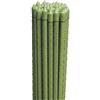La zappa Cannetta in metallo plastificato tutore reggi piante per giardinaggio ed agricoltura (25, Ø 18 mm x h 240 cm)
