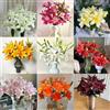 Generic Semi di Lilium, semi di rare regali per gli amanti del giardino resistenti all'esterno amici vecchie varietà autunnali resistenti selvatici 25pcs