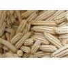Generic Cimelio di mais/mais bianco Hickory King Roasting (Dent) non OGM ~ 28 semi