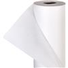 HaGa® - Telo protettivo invernale in tessuto non tessuto, protezione contro il freddo, 80 g/m², 1,6 m x 10 m