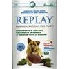 GREEN UP Semente americana Replay - La Rigenerazione del Prato - 1 Kg