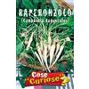 Italsementi Raperonzolo (Campanula Rapunculus)