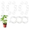 Zetqhuu Clip da Giardino per Piante,100 Pezzi Morsetto di Fissaggio per Giardinaggio Riutilizzabile | Fermagli di Sicurezza Piante | per Giardino E Cortile E Fattoria E E Patio E Serra E Vite E