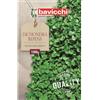 Risala Dichondra Repens No Mow prato morbido, intenso prato semi 500 g copre 100 m2