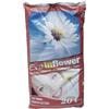 Promotion & Beyond OEM SYSTEMS Terriccio Universale 50 Litri - Prodotto Naturale già concimato
