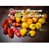 Generic (50+) Graines de poivre Arancione Manzano Rocoto Aji Largo