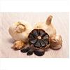 Generic Portal Cool 100 pezzi Schwarzer Knoblauch Samen Bio-Heirloom Gemüse HauptGardening Einpflanzen