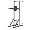 Toorx Power Tower WBX-70
