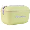 Polarbox Frigorifero classico retrò vintage per campeggio, pic-nic, spiaggia, 20 l, lime, lilla, lime, verde e rosa