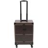 OUKANING Valigetta cosmetica professionale con ruote, grande capacità con 7 scomparti e specchio, per trucchi, portata 50 kg, impermeabile, per trucchi e parrucchieri, caffè, 37*24.3*101cm, moderno