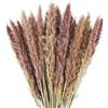 LOVEXIU Pampas Grass 15 Pezzi Piume Decorative Fiori Essiccati Pampas Artificiale Bouquet Fiori Secchi per Decorazioni di Fiori per la Decorazione Hotel Domestica