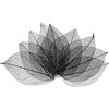 M METERXITY 200 PCS Foglie Scheletro, Foglie Secche Pressate in Gomma Naturale con Venature per Resina/DIY/Biglietti/Scrapbook/Matrimonio, Piccole Foglie Decorative [4-6cm, Nero]