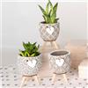 Doni Bomboniere Prima 3PZ Vaso per Piante in Terracotta Vasi Romantiche Pensierini Comunione Santa Cresima Matrimonio Anniversario Grasse con Decori Assortiti Cuoricino Spago E Piedistallo Legno Idee