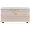 Arredo Stock Baule Contenitore portatutto in Legno (90x45x45 cm)