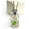 DLM Bomboniere DLM-32078-verde (Kit 6 Pezzi) Profumatore in Vetro con Farfalla Cristallo Colorato Diffusore per Ambienti Profumo Nozze Matrimonio Comunione_Verde bomboniera