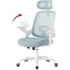 WOLTU Sedia Ufficio Ergonomica con Poggiatesta e Braccioli Regolabili, Supporto Lombare, Poltrona Scrivania Girevole in Rete Traspirante Funzione Dondolo, Blu
