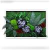 clorophilla. Quadro Vegetale con Piante Vere Stabilizzate e Roccia Finta, No Manutenzione, Polvere, Idea Regalo, Profuma e Decora - Cornice Bianca Legno (50x70)