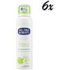 NEUTRO ROBERTS 6 flaconi di deodorante spray per tè verde e lime Fresh 125 ml 48 h