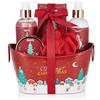 BRUBAKER Cosmetics Set Bagno e Doccia Profumo di Bacche Invernali - Set Regalo 6 Pezzi in Vasca Metallica Decorativa Natale - Set Natalizio per Donne e Uomini