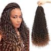 Saisifen 8 Pacchi Boho Dea Box Trecce Capelli All'uncinetto per Le Donne Nere, Pre-ciclo Bohemian Micro Trecce Con Capelli Ricci T30 Sfumature Ramate 24 Pollici(60cm)