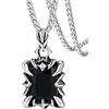 FaithHeart Nera Pietra Preziosa Collana Argento Collana Artiglio di Drago 55+5 CM Collana Uomo Accaio Gotico Punk Impermeabile e Anallergico Regalo Compleanno Natale