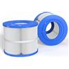 ROYOR Cartuccia di Ricambio per Filtro Spa Compatibile con Bullfrog Spa Filter Wellspring 10-00282 30 Coreless, Filtro di Ricambio per Vasca idromassaggio per Pleatco PBF40, Confezione da 2