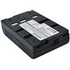 Cameron Sino Batteria per Panasonic VW-VBS20E, 4.8V, 1200mAh, Ni-MH